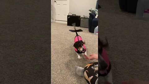 High Five