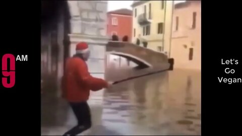 Try Not To Laugh Funny Videos - Funny Moments Of The Year Compilation 😆😆😆