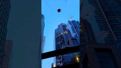 eww bird 🐦 pooped 💩 on our car 🚗 !!!!