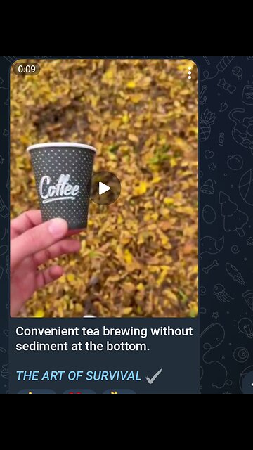 Documentary: Brewing Tea Outside