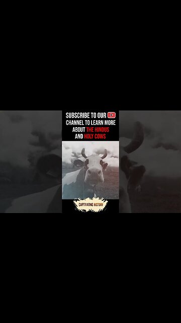 Why Do Hindus Consider Cows to be Holy? #shorts