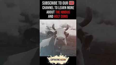 Why Do Hindus Consider Cows to be Holy? #shorts