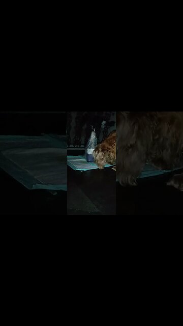 subscribe to my channel