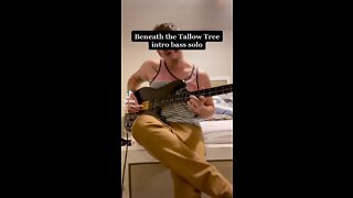 Bass Solo