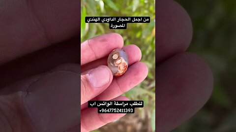 حجر داودي مصور