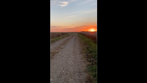 Happiness In A Sunrise