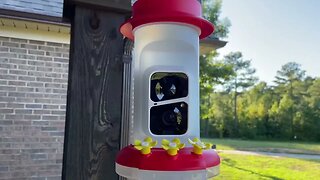 Wireless Hummingbird Feeder! See them up close!