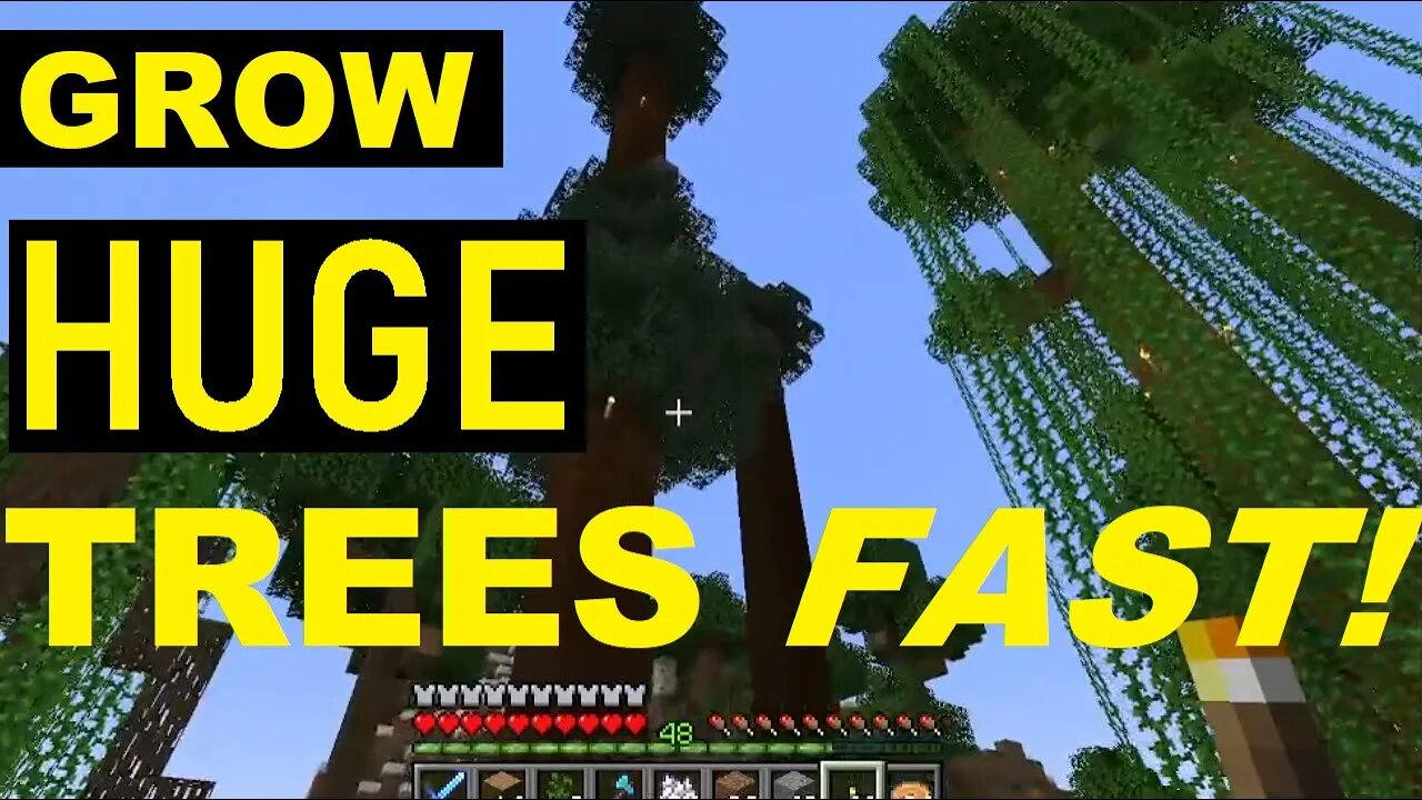 Minecraft - HUGE TALL Trees Fast! (Tips & Tricks) 2023