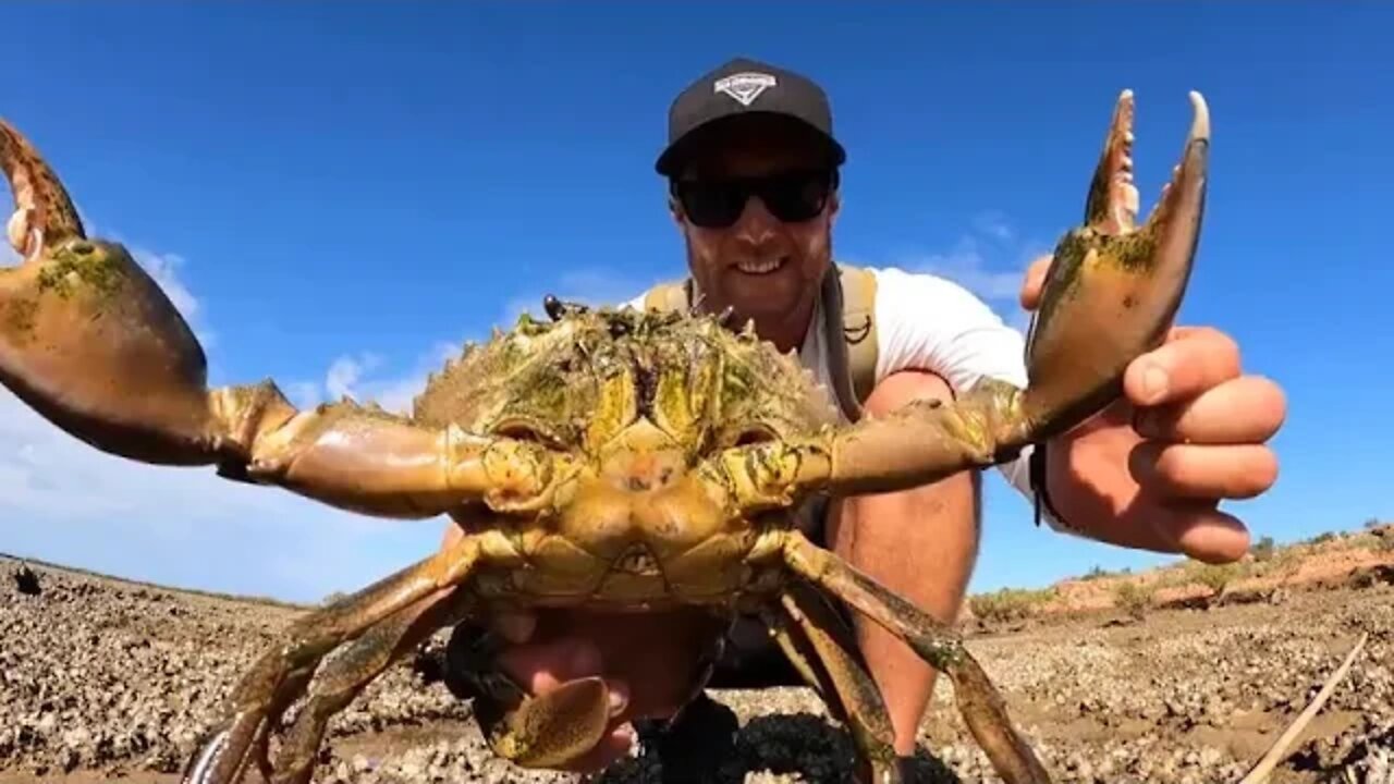 GIANT CRAB Catch and Cook BOW n ARROW vs FISH 3