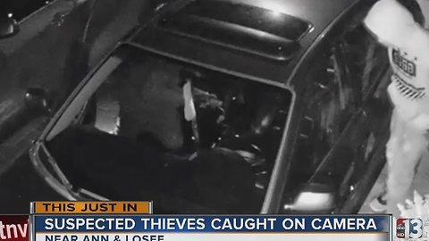 Car break-in caught on camera near Ann, Losee