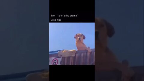 Noisy neighbor Mrs Jody 😂