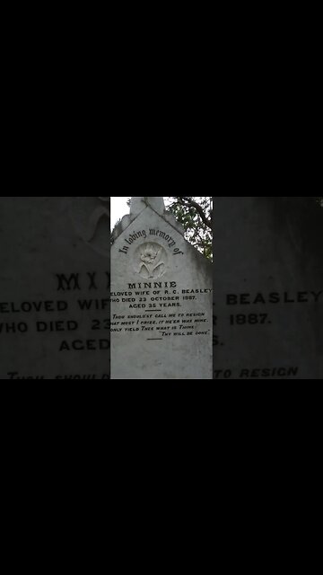 The Breathtaking Headstone Tribute to Minnie: A Timeless Memorial