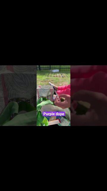 Trigger Warning Purple Dope