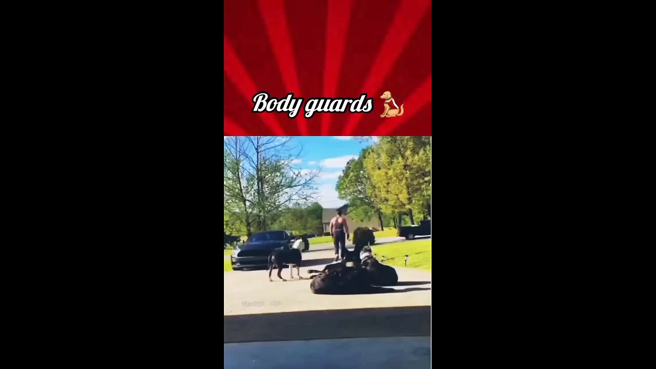 Body Guard