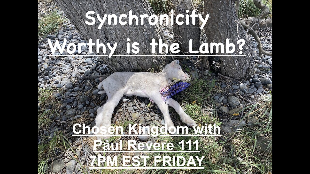 Synchronicity - Worthy is the Lamb?