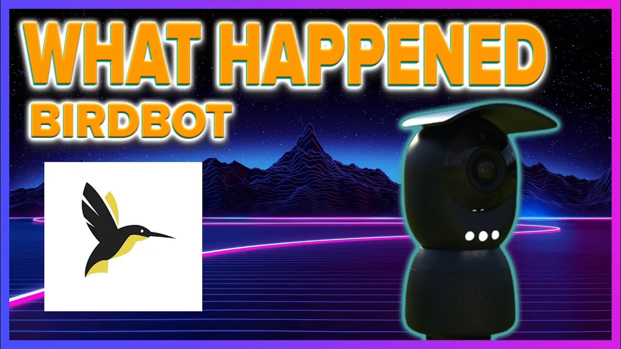 What Happened to Bird Bot?