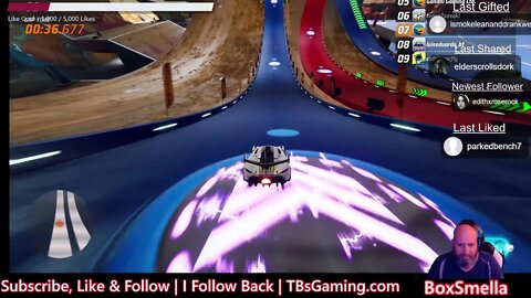BoxSmella Live Stream