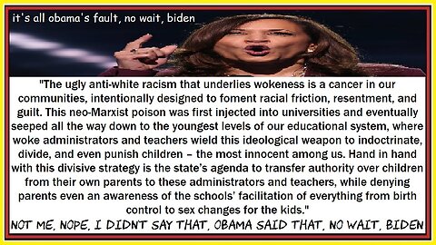 it's all obama's fault, no wait, biden