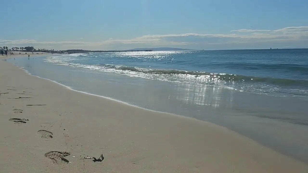 Venice Beach