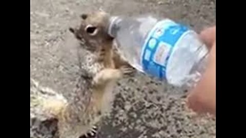 Refugee Camps In Northern Mexico - Out Of Water