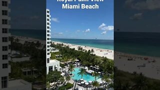 #royalpalmbeach #miami #shorts