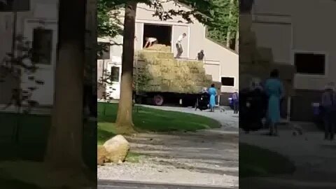 Amish Hay Wagon