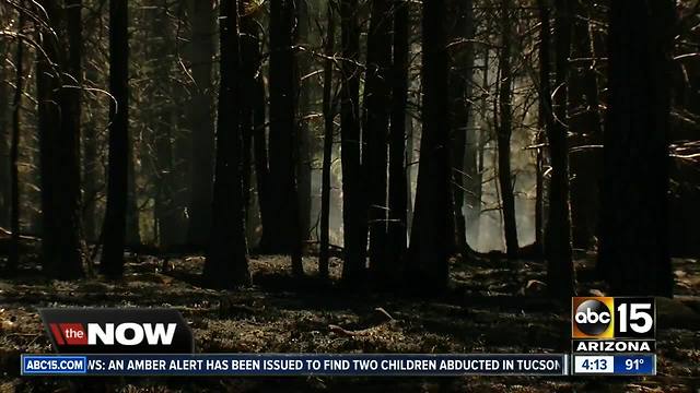 Behind the lines look at damage from the Tinder Fire