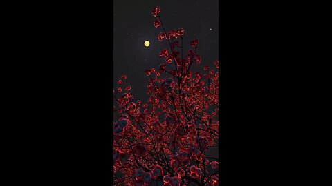 I love nature #Tiktok #Youtube