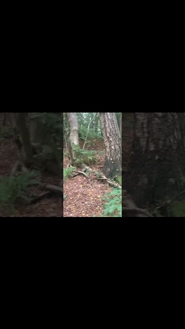 7th October 2022. Todays weather report. It’s nice out.