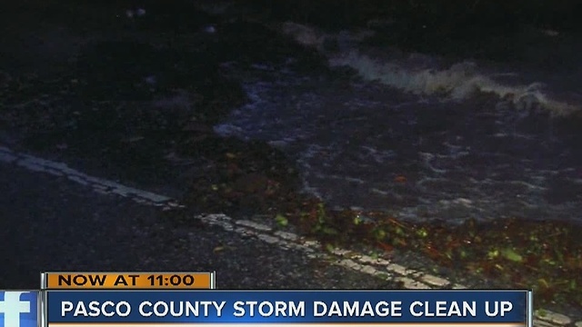 Pasco storms