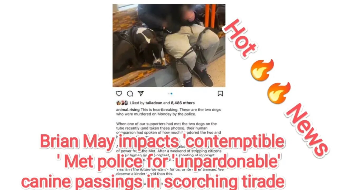 Brian May impacts 'contemptible' Met police for 'unpardonable' canine passings in scorching tirade