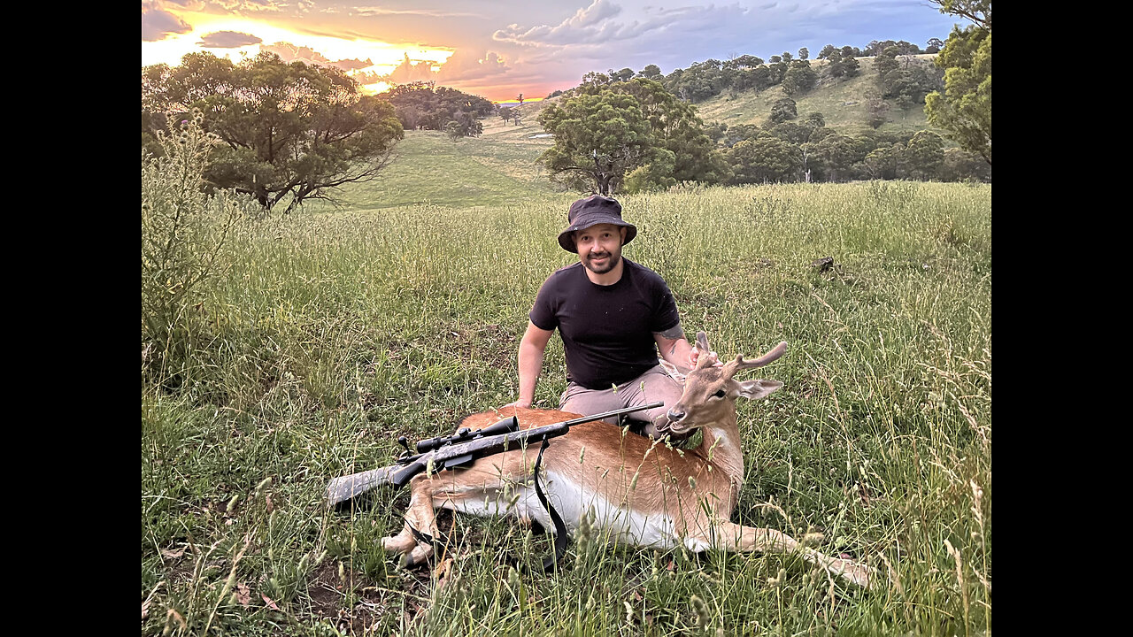 Hunting Northern NSW 2023