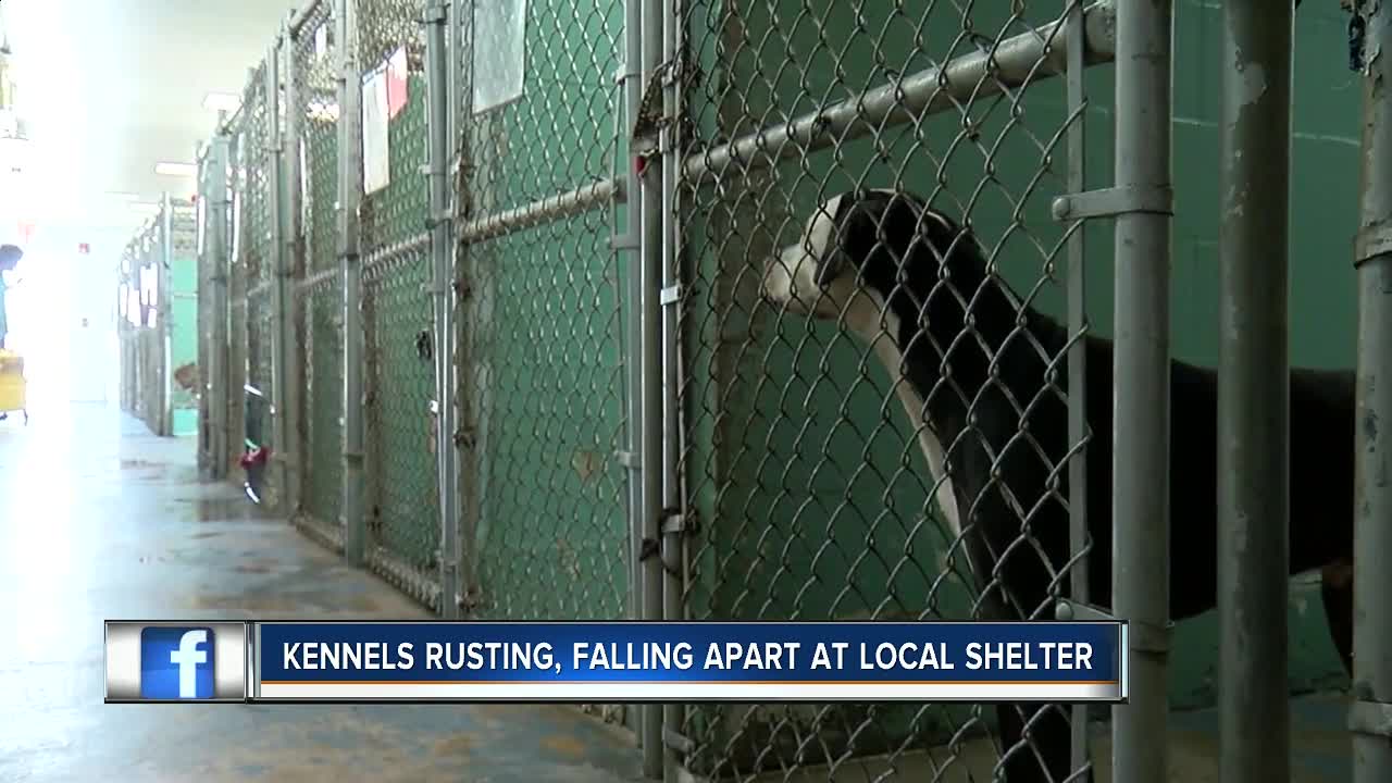 Local animal shelter in desperate need of new kennels, manager says