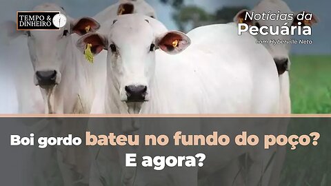 Boi gordo bateu no fundo do poço? E agora? Hyberville Neto comenta