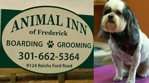 Animal Inn of Frederick in 4k UHD