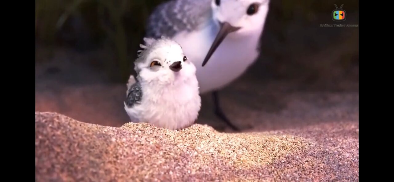 Piper Disney pixar Official Trailer