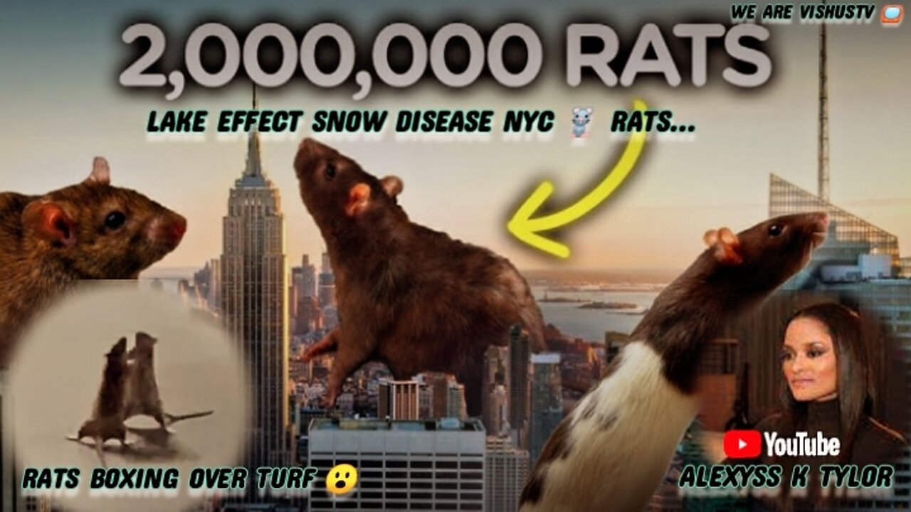 Alexyss K Tylor: Lake Effect Snow Disease NYC 🐀 Rats... "PART:1" #VishusTv 📺