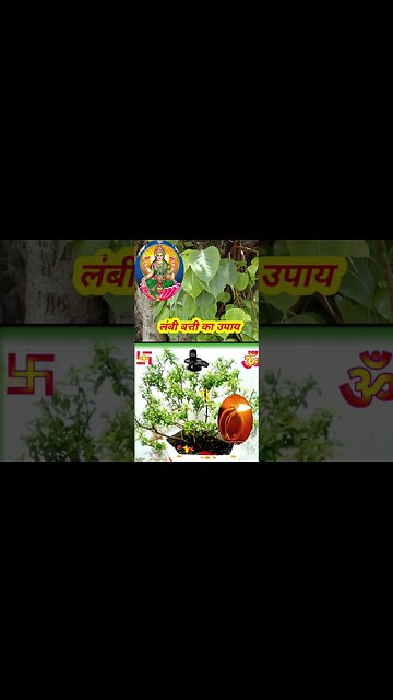 #लंबी बत्ती का उपाय #pradeepmishra #shortsRemixJa पल के नीचे दीपक किस बाती का जलाए