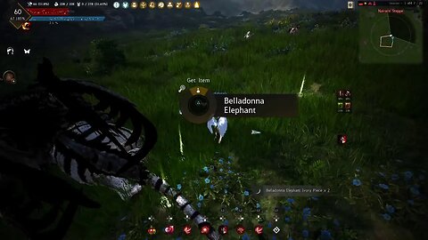 BDO Live stream missions and stuff chill and chat