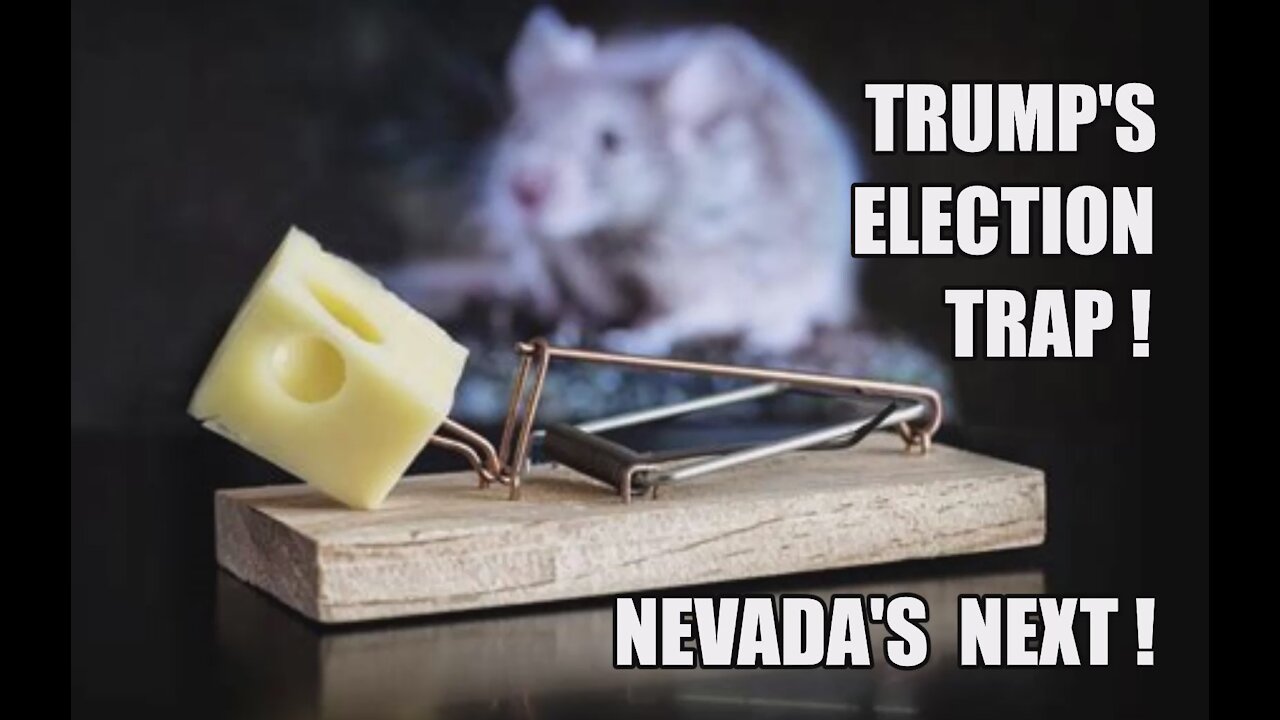 Trump's Election Trap! Nevada Next! Q Comms! Zuckerberg's Big Tech Trouble! Fauci In China's Pocket!