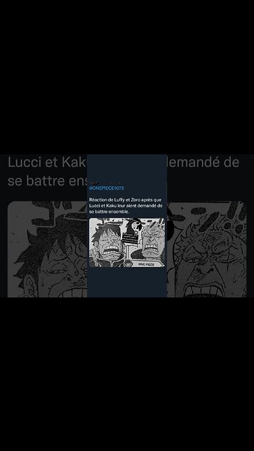 Réaction de Luffy et Zoro après que Lucci et Kaku leur aient demandé de se battre ensemble
