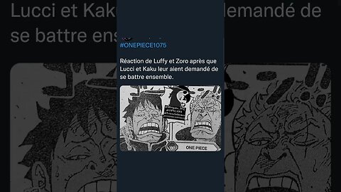 Réaction de Luffy et Zoro après que Lucci et Kaku leur aient demandé de se battre ensemble