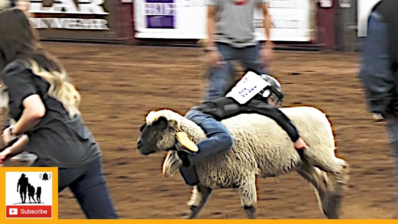 78 Rider Mutton Bustin' Slack - 2023 ABC Pro Rodeo