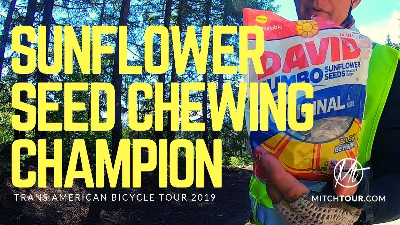 SUNFLOWER SEED CHEWING Champion from South Dakota