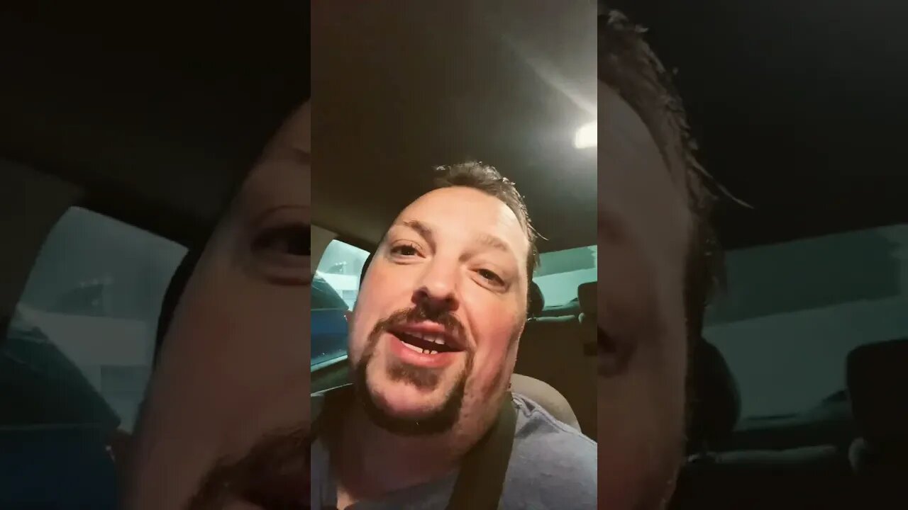 Tiger Submits To Black Bear 😲