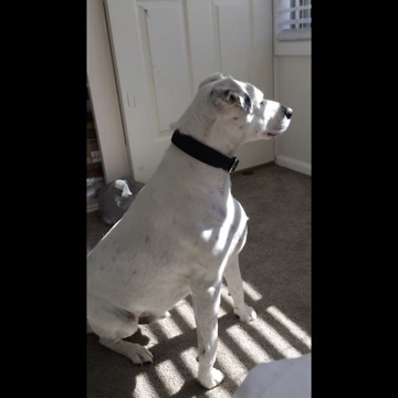 Jack Waiting For His Girlfriend Every Morning!!