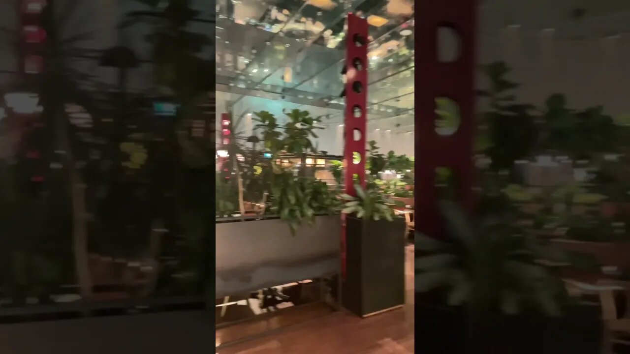 Epic PVM Restaurant