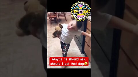 Should you pet a police dog? #shorts #malinois #puppy #police #k9 #fyp #trending #funny #viral