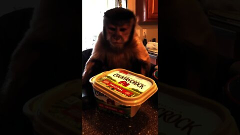 It’s Friday! Anyone wanna share our butter with us ! ! I’m cleaner than most! I’m pretty slick thou
