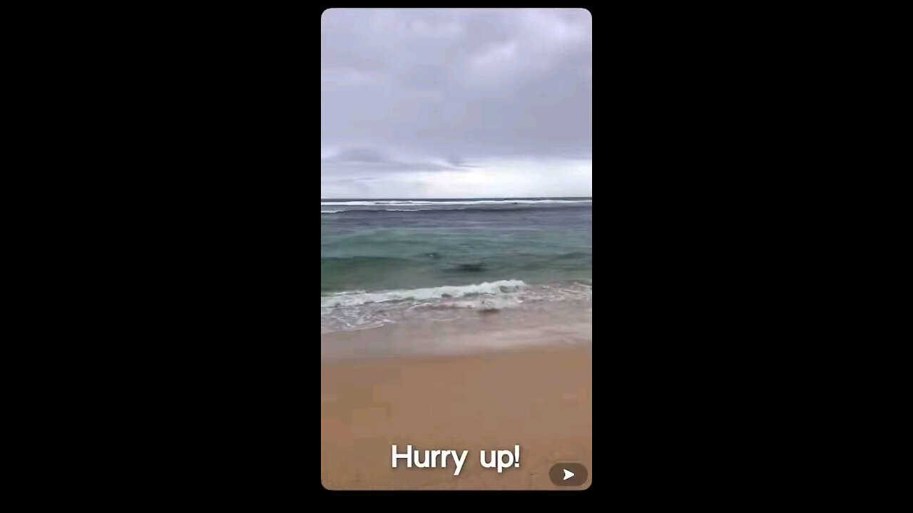 Fish escape seal by right running to land